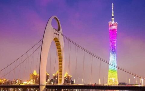 33元月租的广东联通流量王纯享版套餐介绍