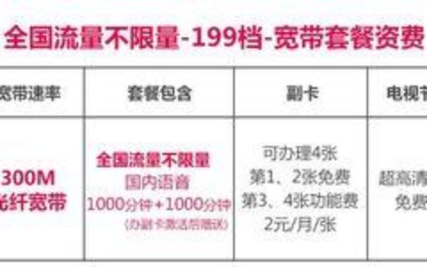 广东联通流量王乐享版：月租费29元，100分钟国内通话