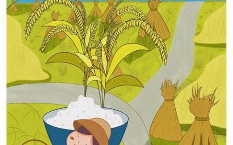 电信新卡芒种卡，月租19元，全国流量、100分钟通话