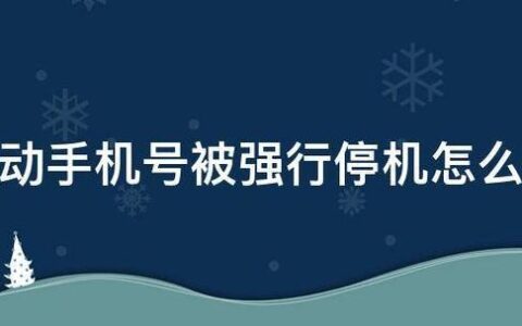 【网络安全】高危号码强制停机的原因
