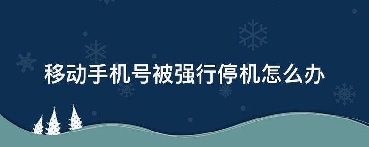 【网络安全】高危号码强制停机的原因