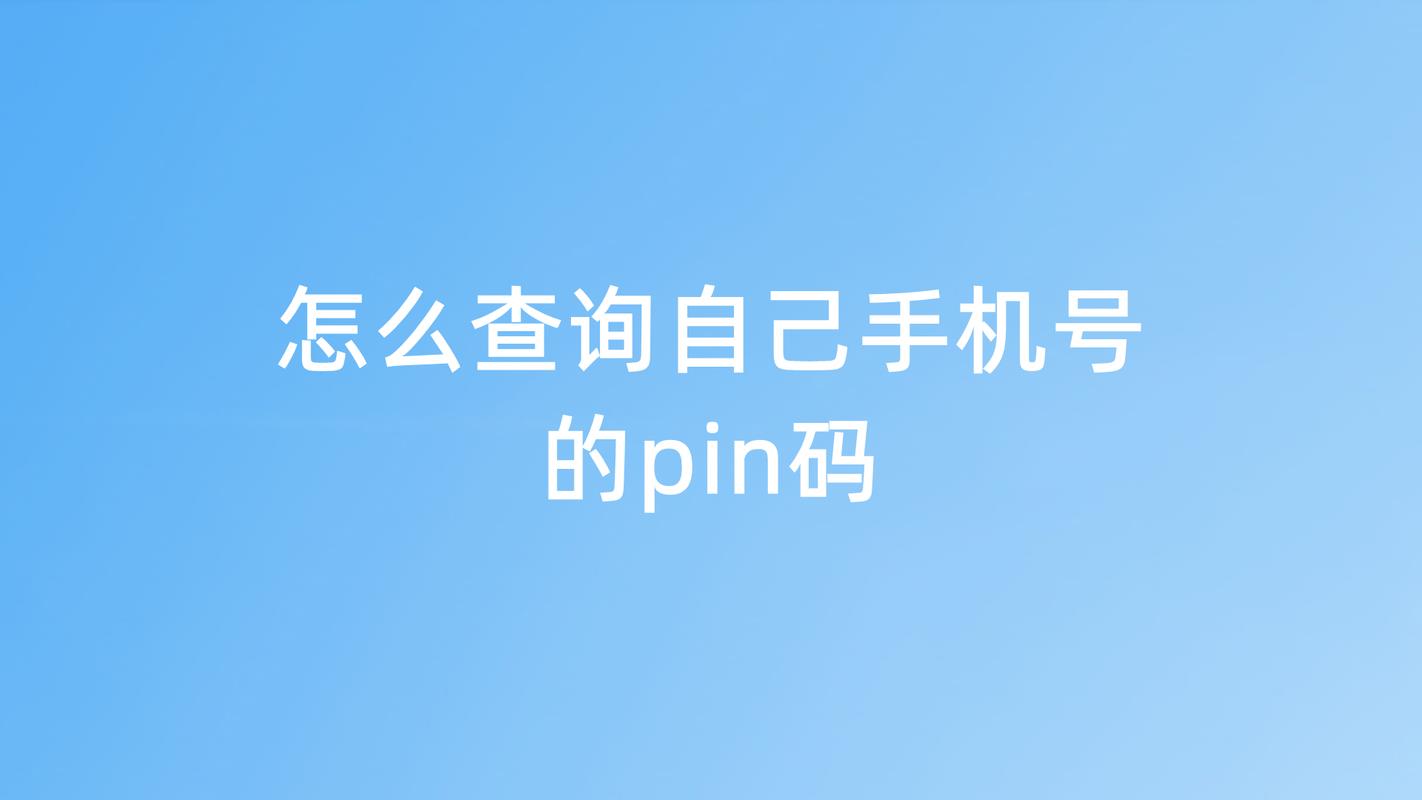 手机PIN码是什么？