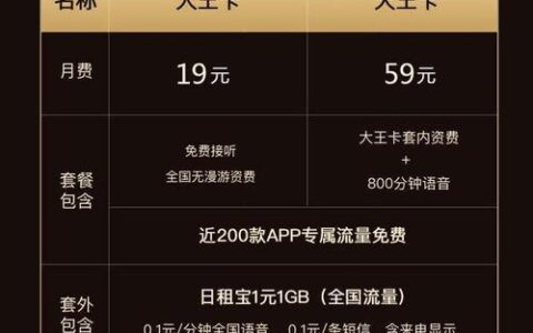 大王卡多少钱一个月？