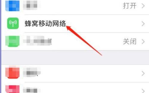 苹果iPhone双卡双待，流量用哪张卡？