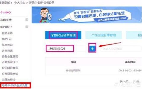 营业厅申请白名单攻略，教你快速完成