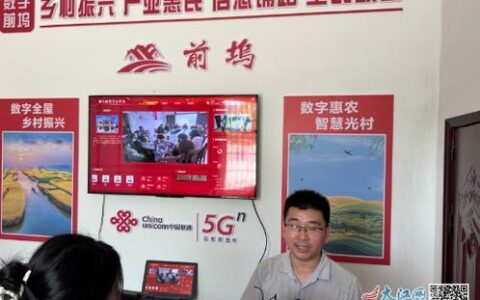 联通振兴卡：乡村振兴的利器