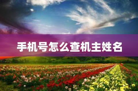 如何查询电话号码的机主？
