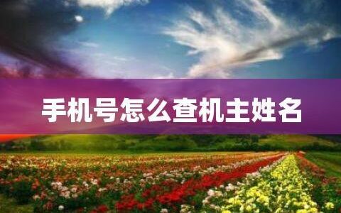 手机机主姓名在线查，教你3种方法