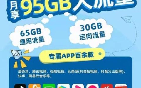 电信百G流量卡：满足用户多样化需求