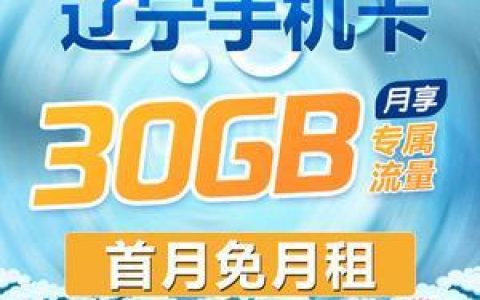大连地区移动大流量卡哪种便宜？