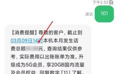 点电信查询电话是多少？