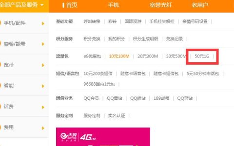 电信1g专线多少钱一年？