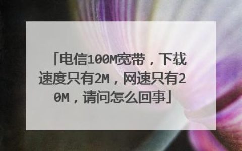 电信全屋宽带，让家里每个角落都“网速飞起”