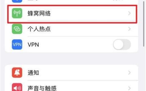 苹果双卡双待怎么设置流量用哪个卡？