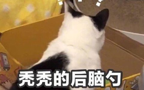 0713是哪里的区号？解答你的疑惑