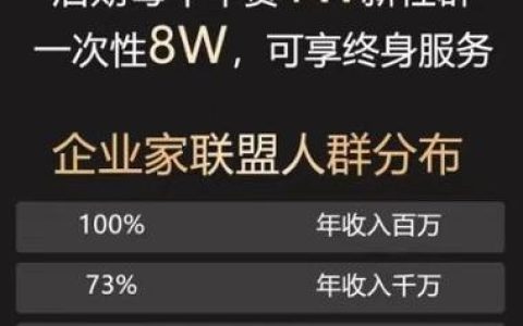 木子流量联盟：助力企业实现流量变现新突破
