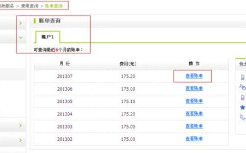 中国电信话费清单查询，多种方式随心选