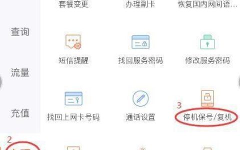 手机停机保号，怎么办理？费用、注意事项全解析