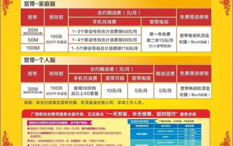 移动100兆宽带一年多少钱？