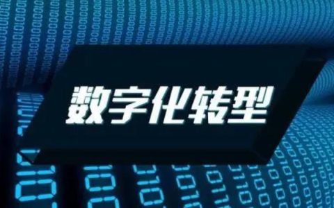 电信集成公司：助力数字化转型，引领智慧未来