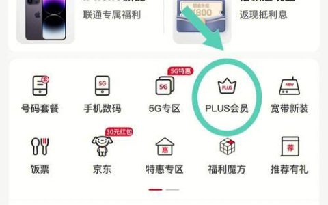 联通PLUS会员多少钱？