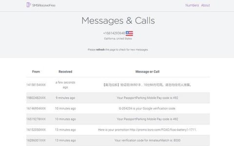 美国接码短信平台：简介、用途和选择指南