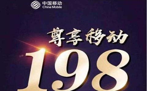 198是哪个运营商的号码？