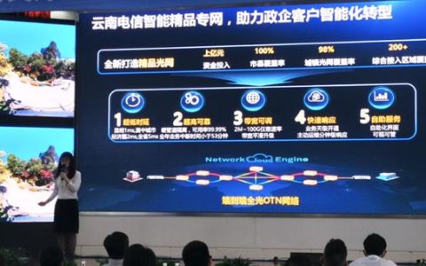 云南电信公众信息产业有限公司：助力云南数字化转型