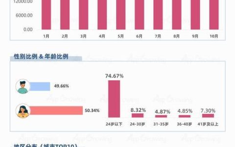 33卡流量：满足你对B站观影的全部需求