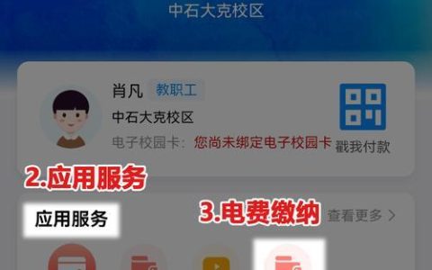 校园卡消费密码：安全使用指南