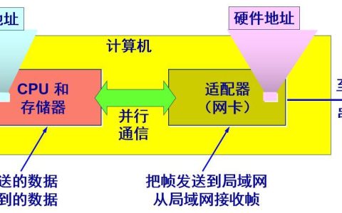 网络接口卡：连接计算机与网络的桥梁