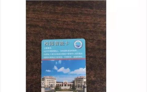 校园卡网卡：学生上网的最佳选择