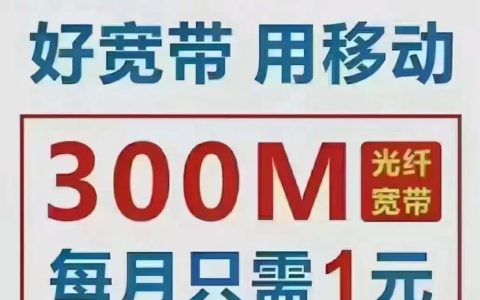 光纤移动宽带多少钱一年？