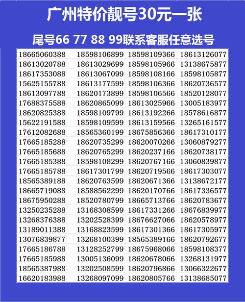 全国最牛的手机靓号