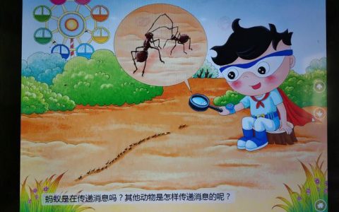 蚂蚁如何通讯？