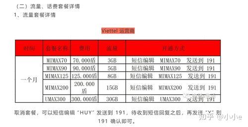 越南长期流量卡选购指南