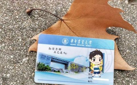 校园卡一般是什么卡？