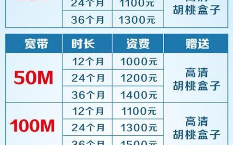 宽带10m：了解它的速度、价格和适用人群