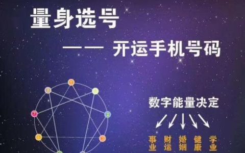 133手机号：全面解析