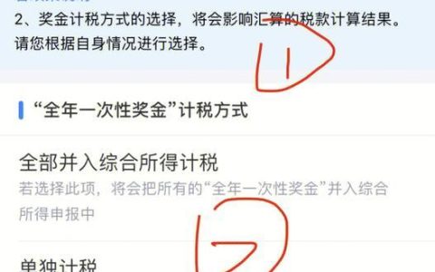 个人所得税怎么退？