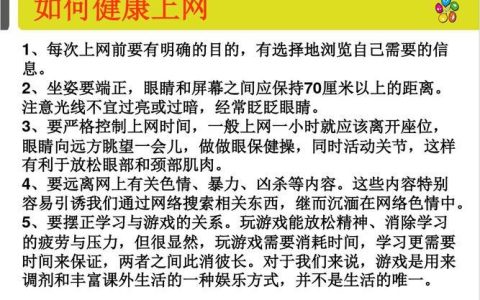 中学生健康上网建议