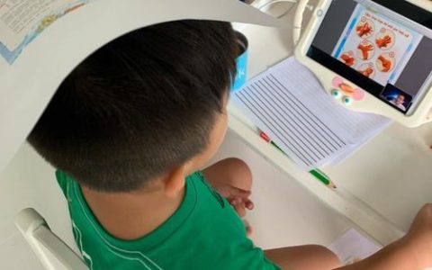 上网课怎么操作？