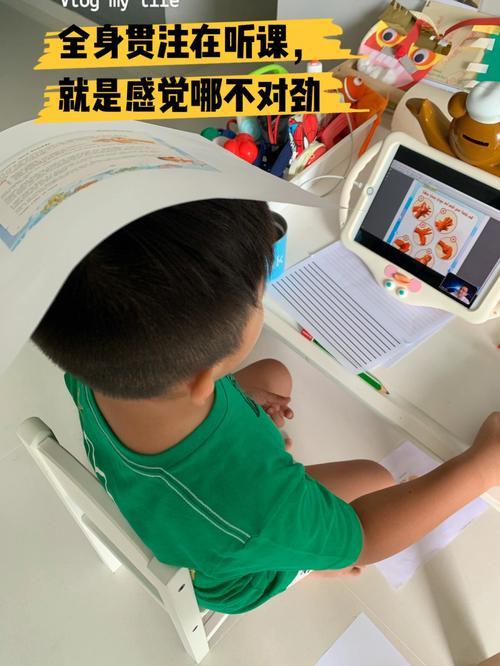 上网课怎么操作？