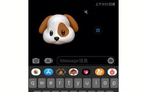 FaceTime短信：与朋友和家人保持联系的新方式