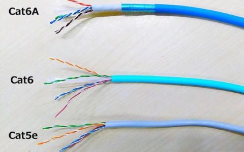网线分为几种类型？