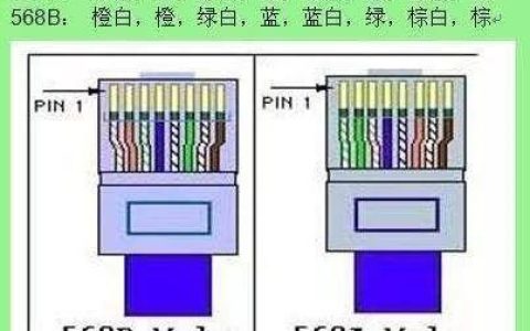 网线1000兆与100兆：详细对比助你选对网线