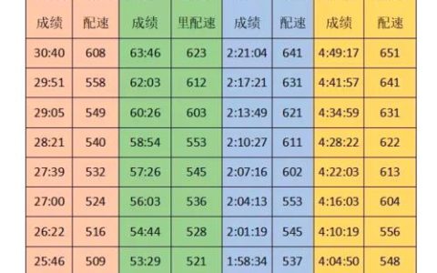 马拉松速度：了解各个级别运动员的成绩