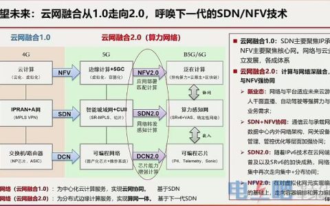 中国联通合并：回顾与展望