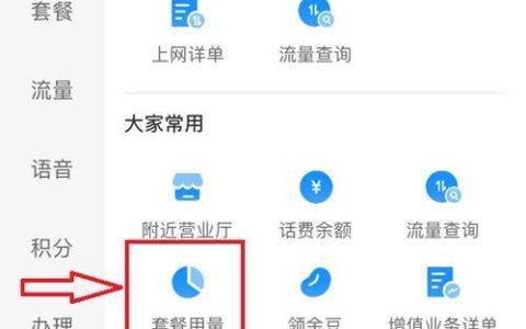 如何查询自己的话费套餐？