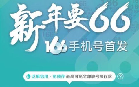 166开头靓号：彰显个性，引领潮流